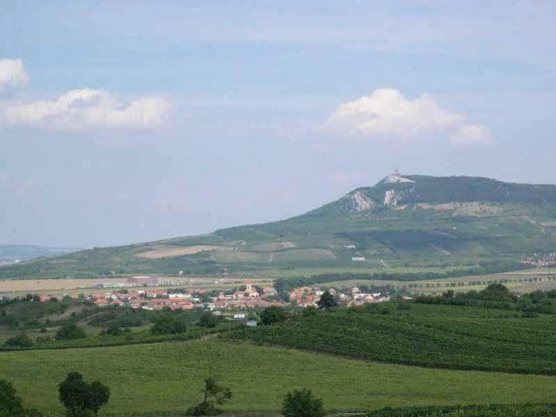 Penzion Barina Dolní Dunajovice Dış mekan fotoğraf